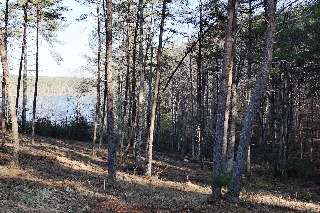 Waterside at Lake Rhodhiss, NC Prices and Site Plan